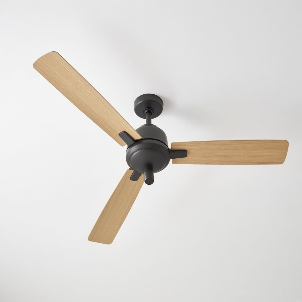 Ceiling fan